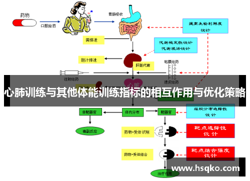 心肺训练与其他体能训练指标的相互作用与优化策略